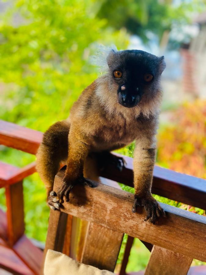 Tamarin Lodge Ampangorinana المظهر الخارجي الصورة