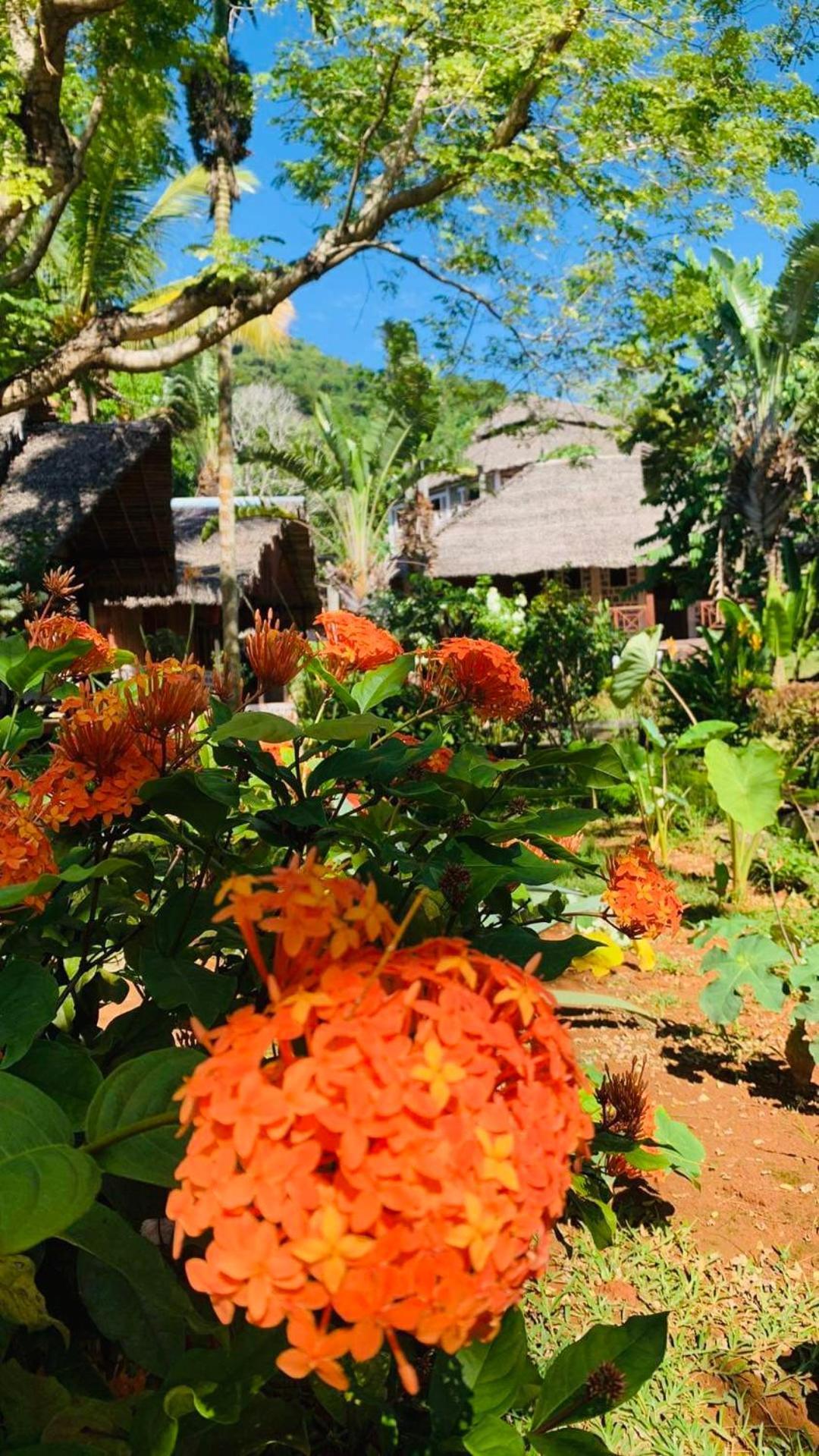 Tamarin Lodge Ampangorinana المظهر الخارجي الصورة