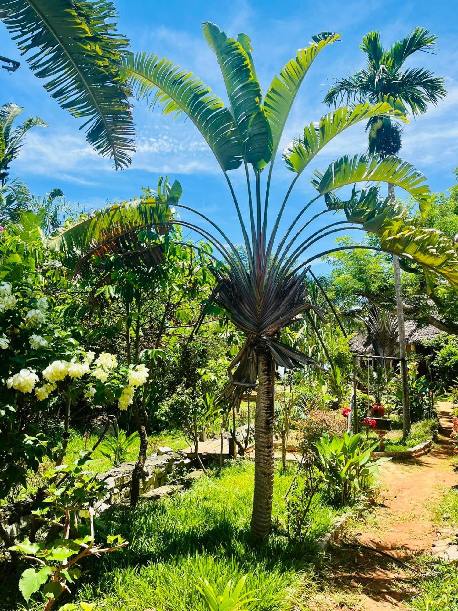 Tamarin Lodge Ampangorinana المظهر الخارجي الصورة