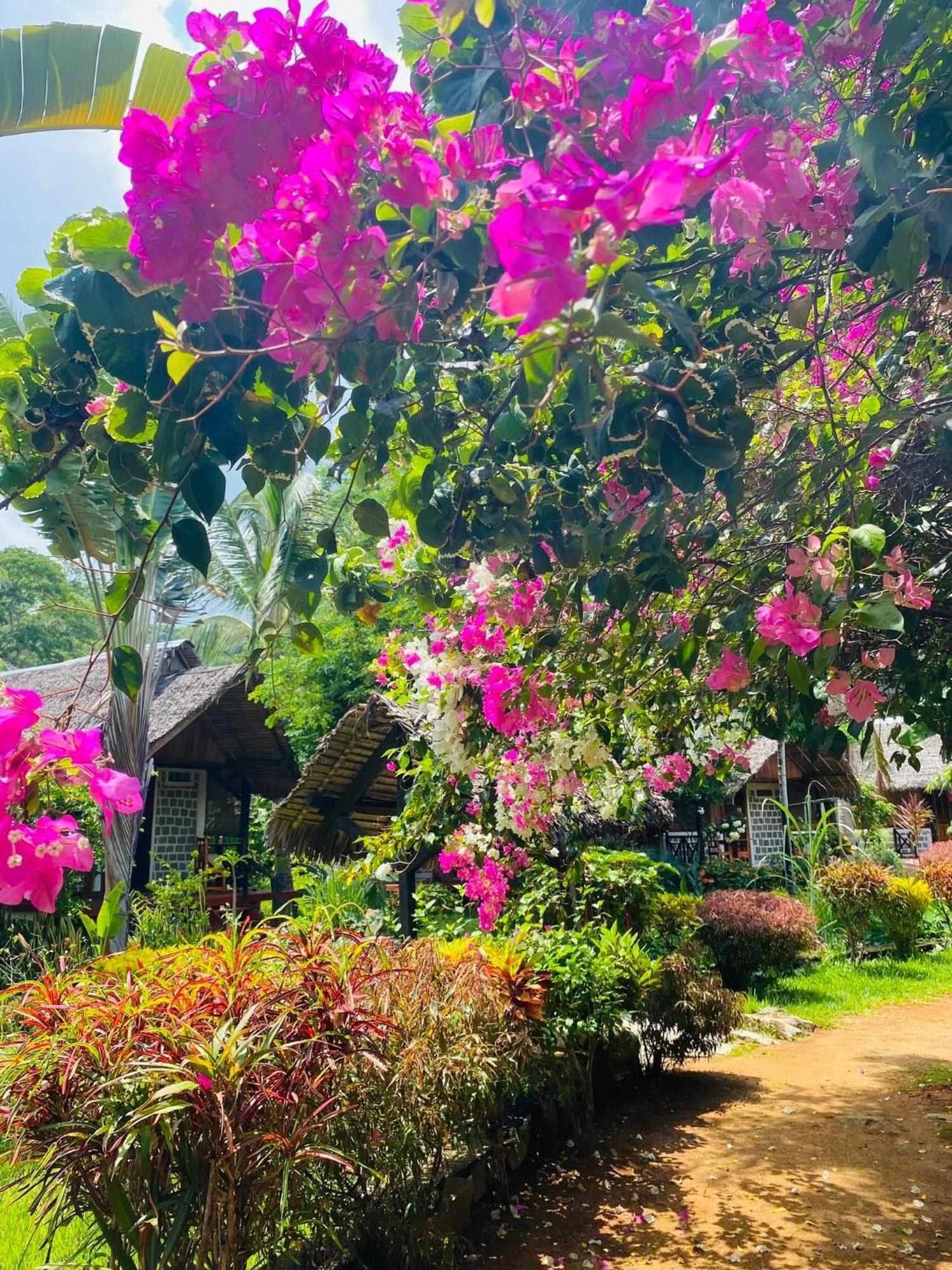Tamarin Lodge Ampangorinana المظهر الخارجي الصورة