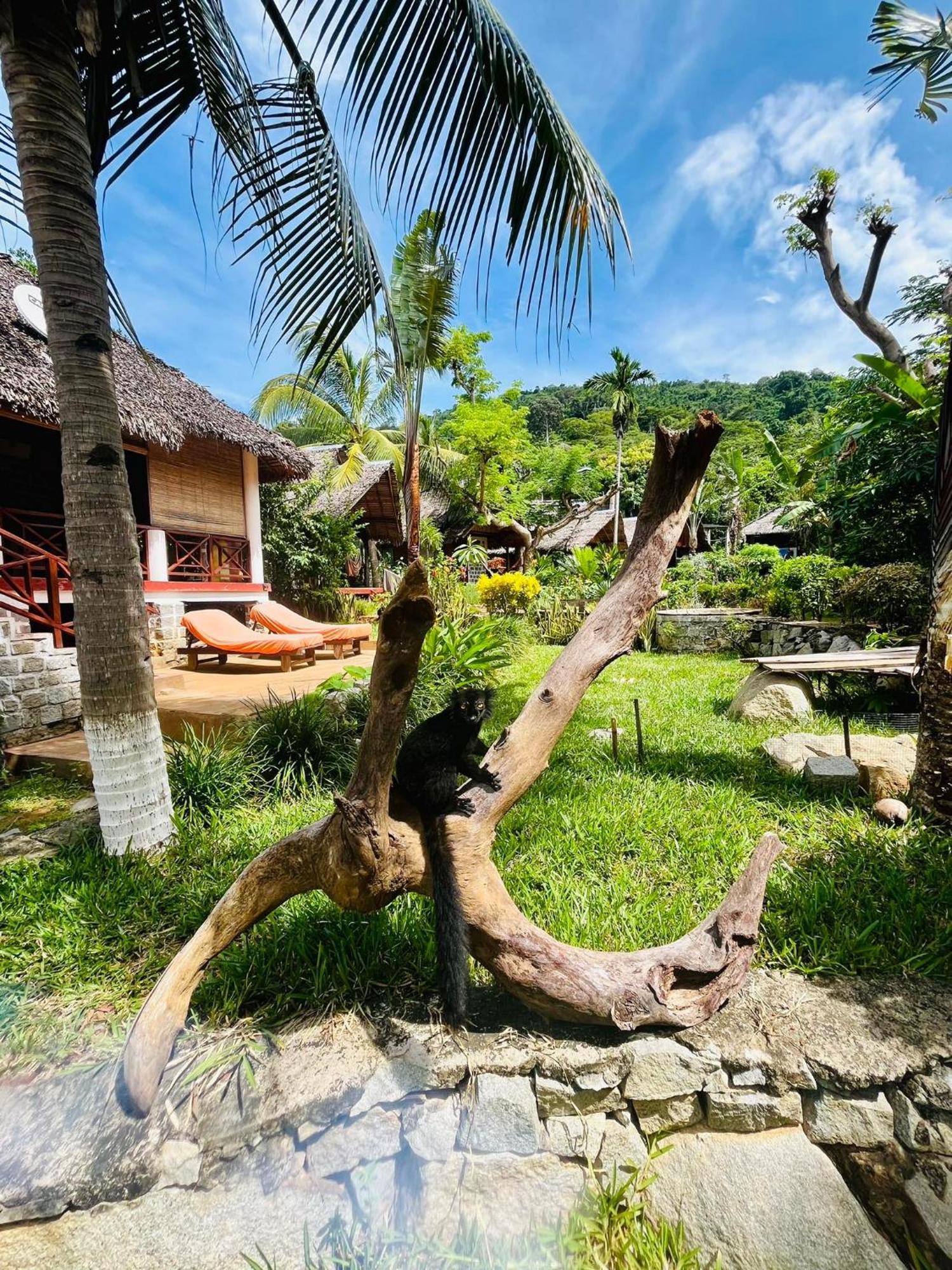 Tamarin Lodge Ampangorinana المظهر الخارجي الصورة